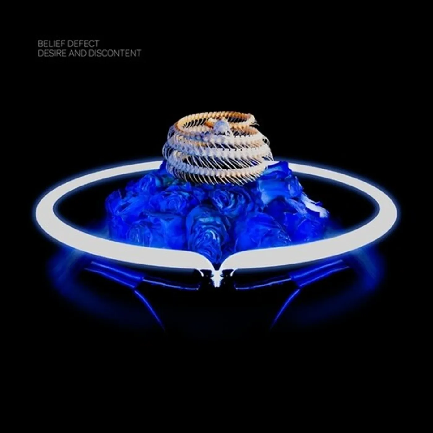 Belief Defect DESIRE & DISCONTENT CD