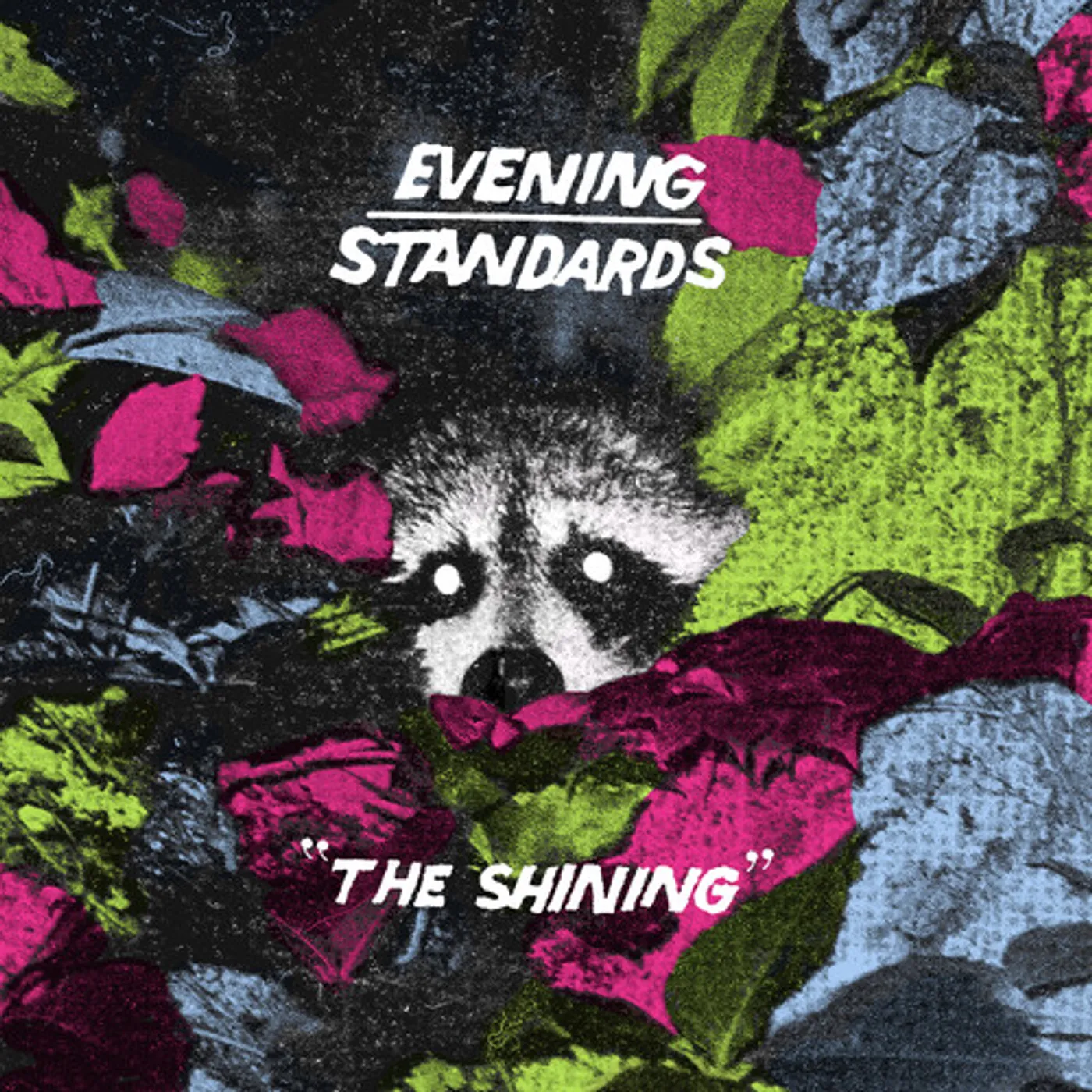 Evening Standards SHINING Vinyl Record