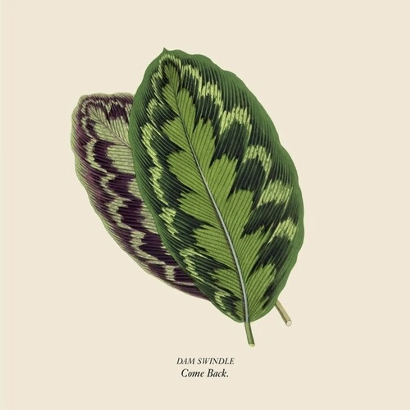 Dam Swindle COME BACK Vinyl Record