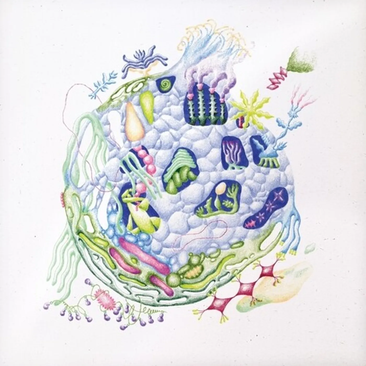 David Edren BINNENIN Vinyl Record