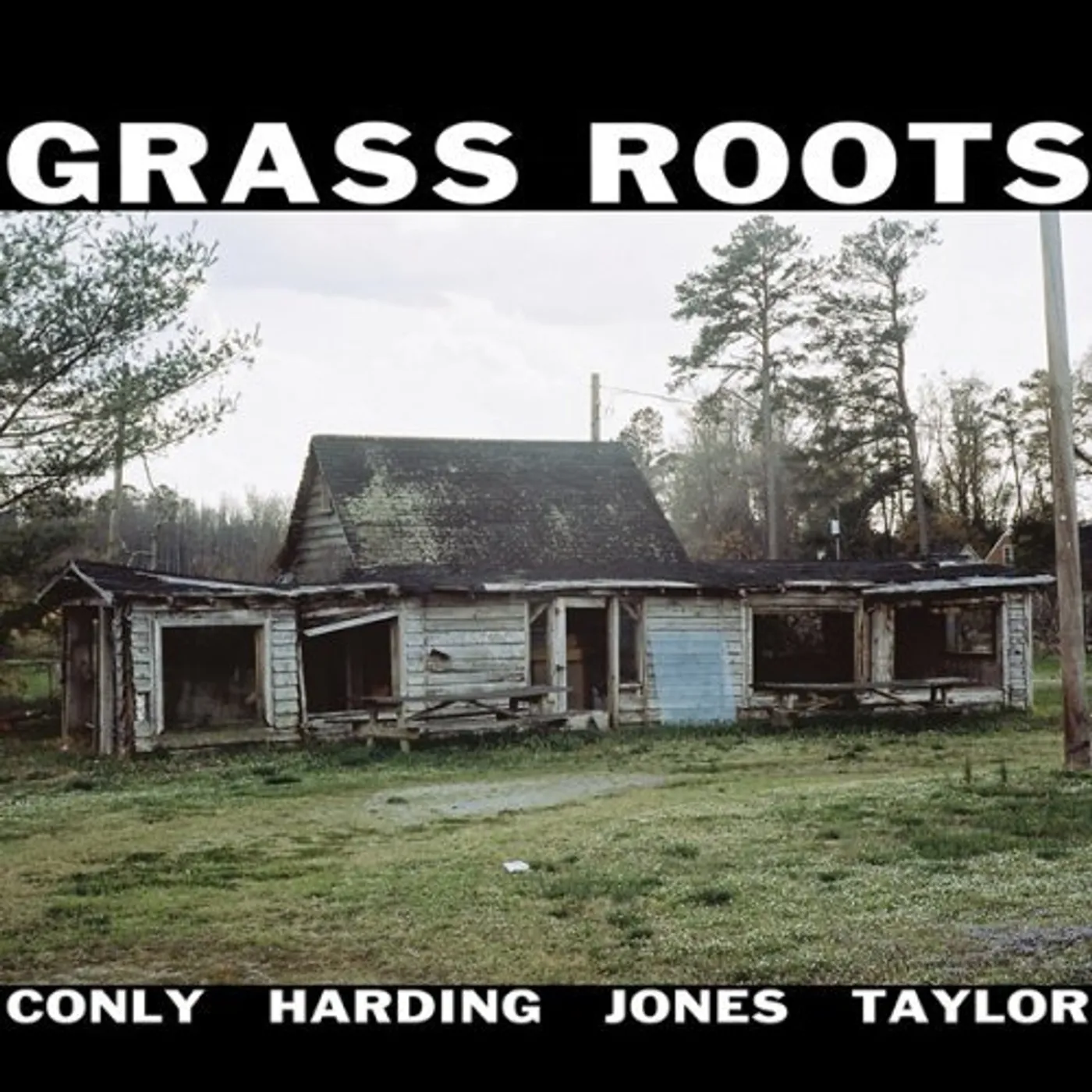 The Grass Roots CD
