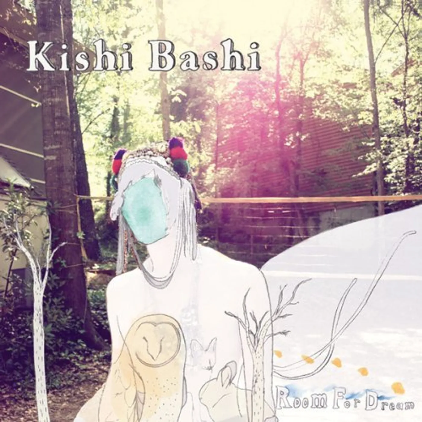 Kishi Bashi Room for Dream Vinyl Record