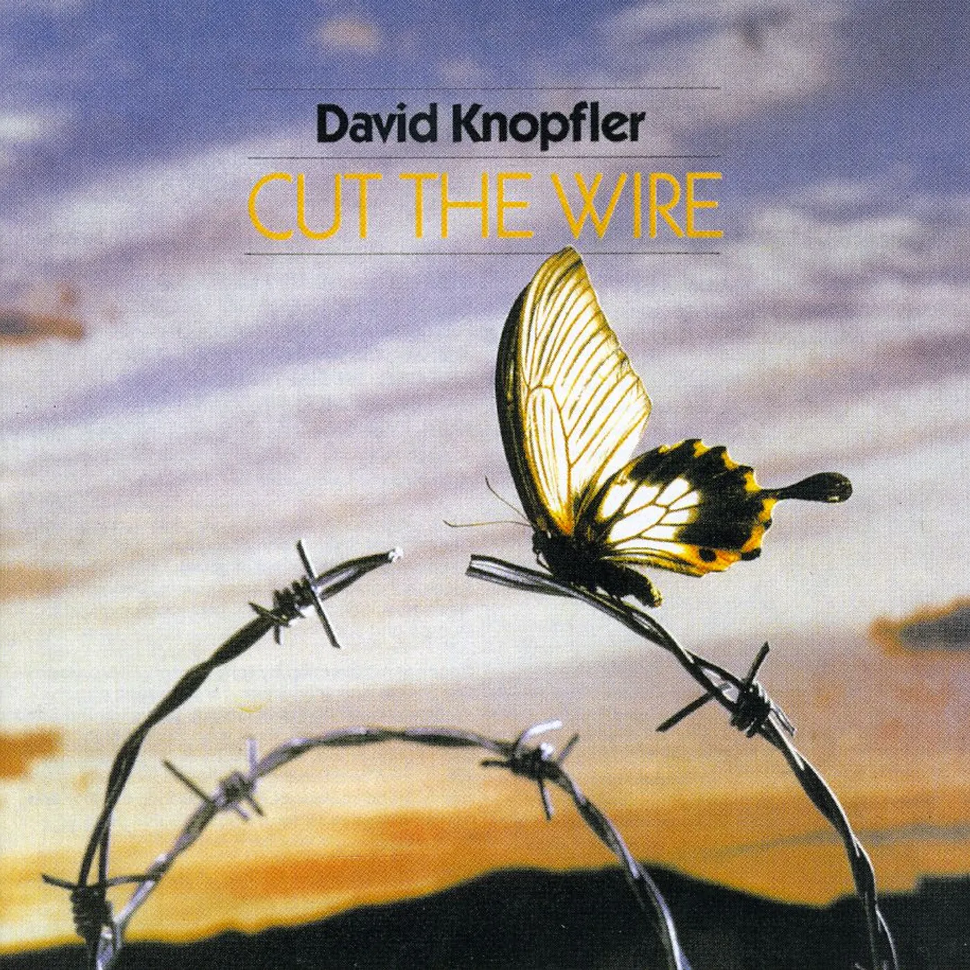 David Knopfler CUT THE WIRE CD