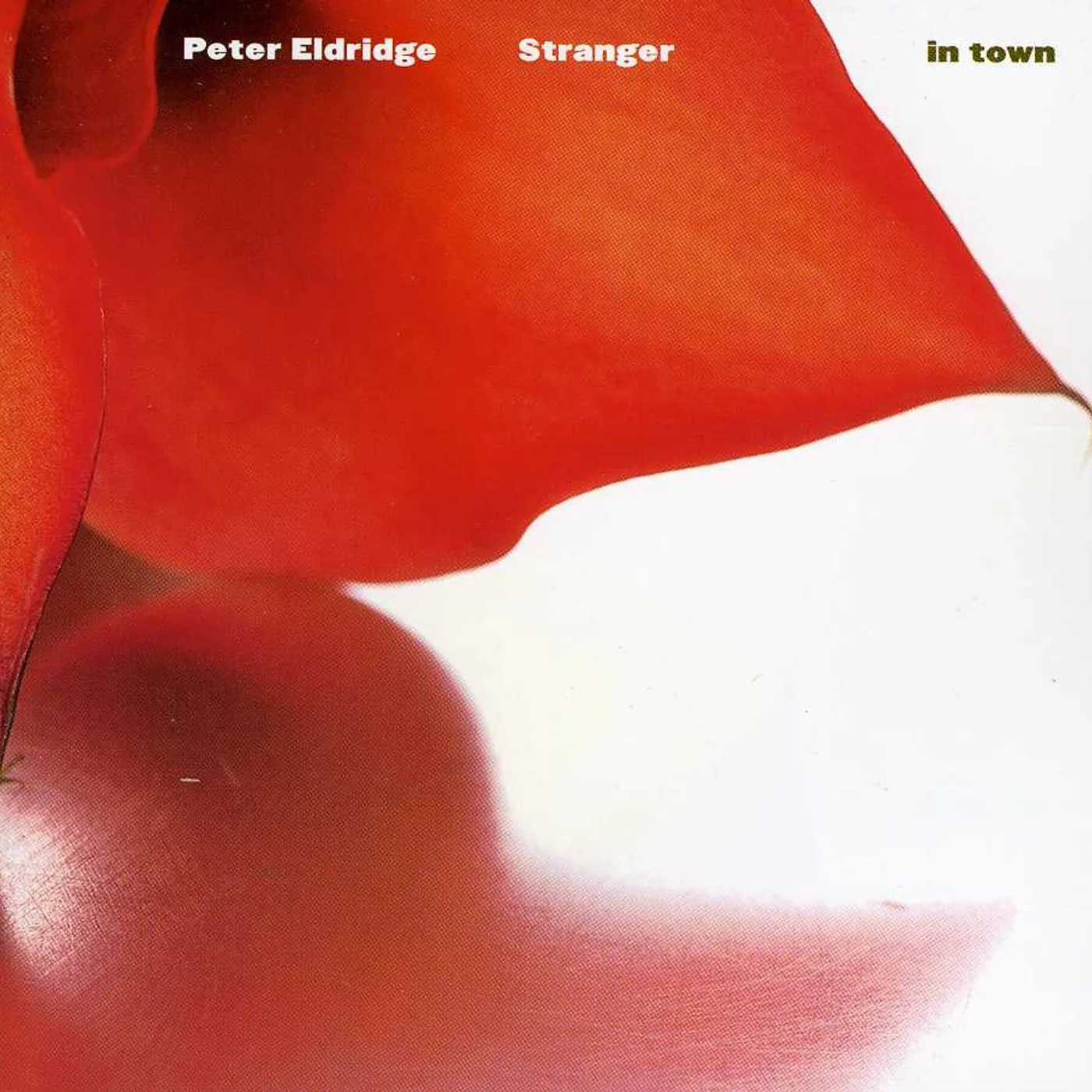 Peter Eldridge STRANGER IN TOWN CD