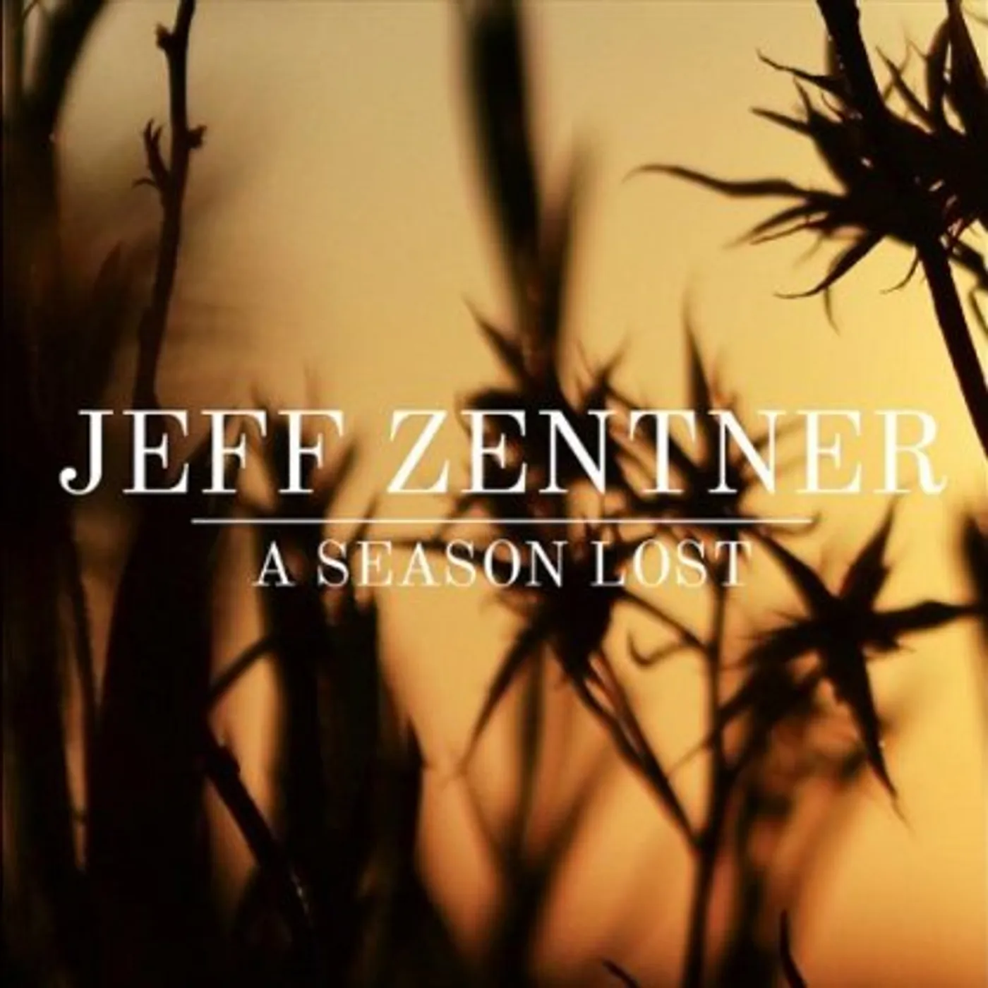 Jeff Zentner A SEASON LOST CD