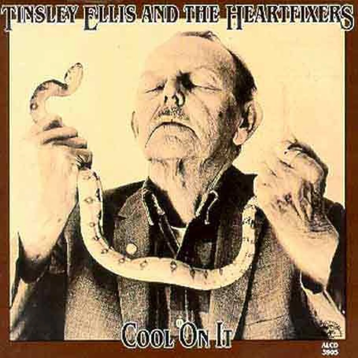 Tinsley Ellis COOL ON IT CD