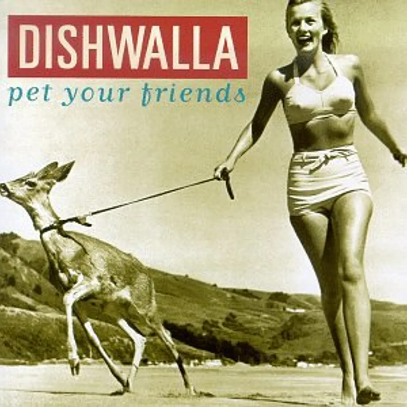 Dishwalla PET YOUR FRIENDS CD