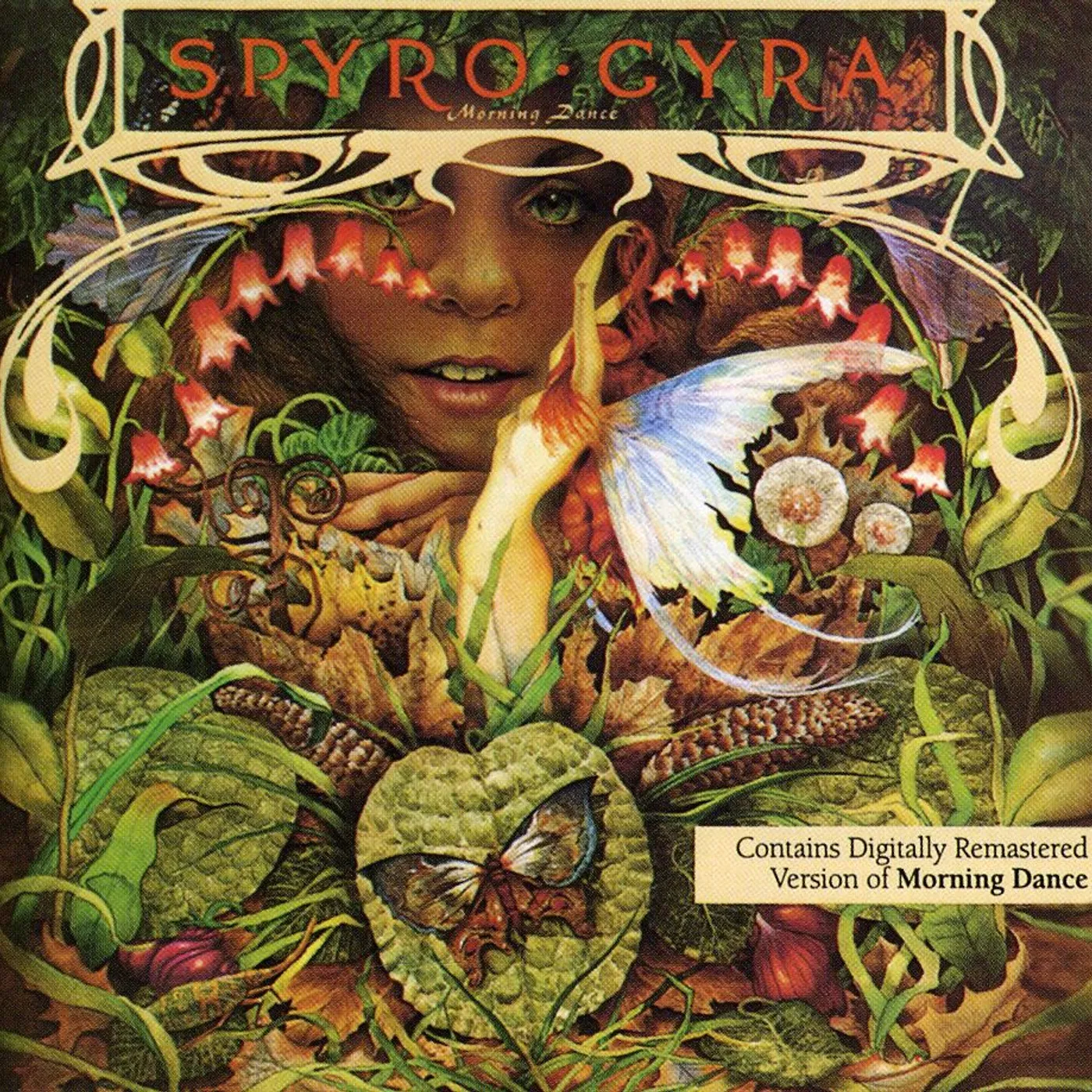 Spyro Gyra MORNING DANCE CD