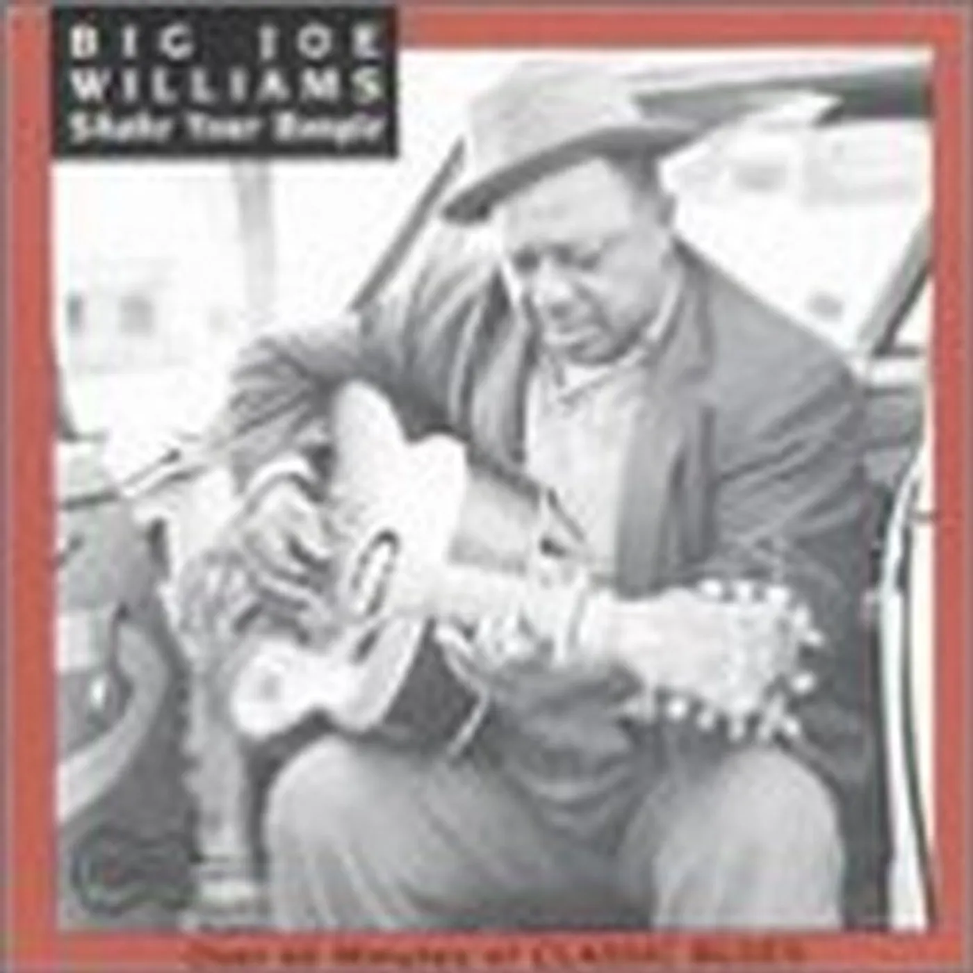 Big Joe Williams Shake Your Boogie CD