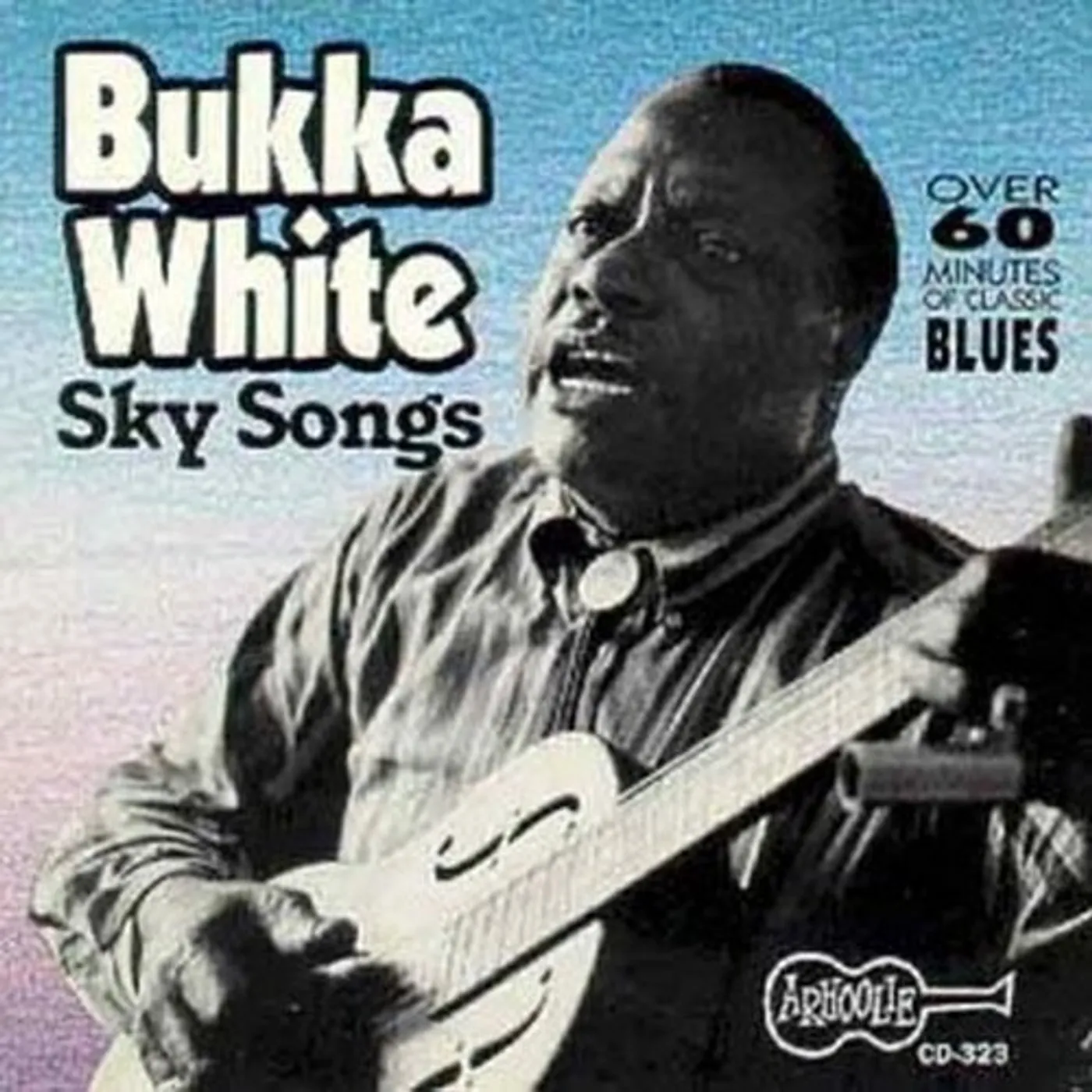 Bukka White SKY SONGS CD