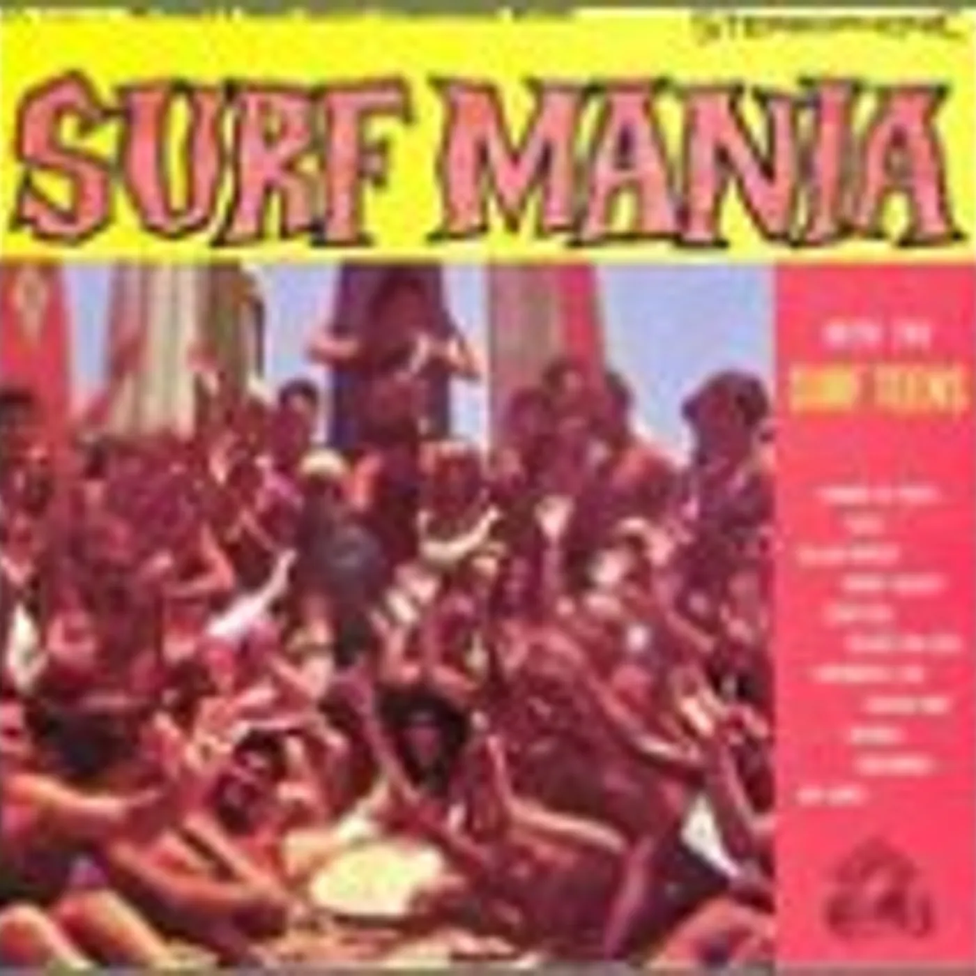 The Surf Teens Surf Mania Vinyl Record
