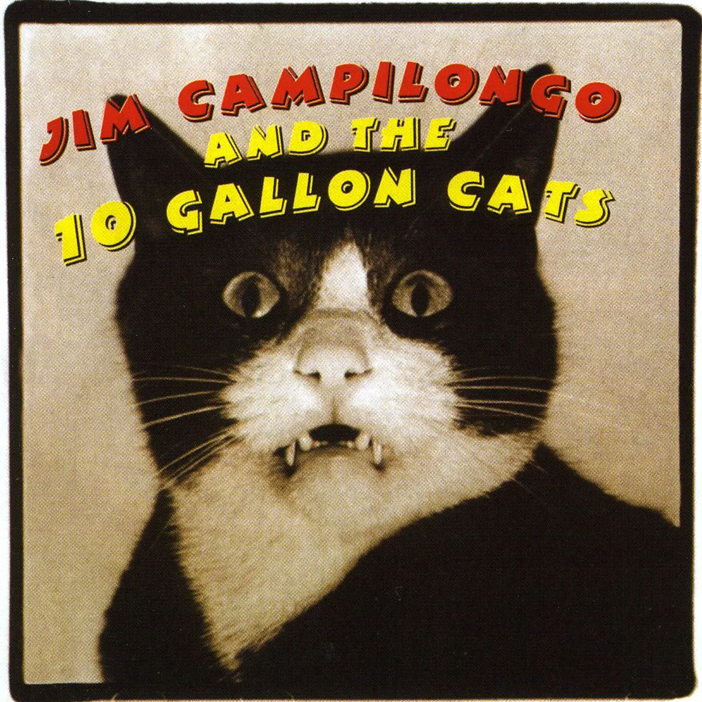 JIM CAMPILONGO & THE 10 GALLON CATS CD