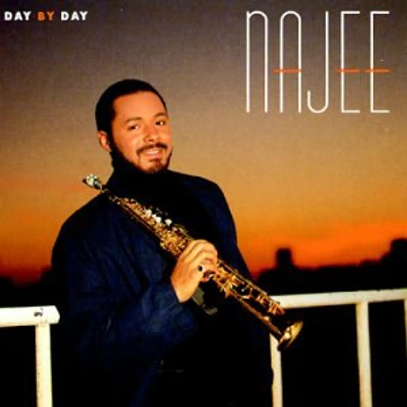 Najee DAY BY DAY CD