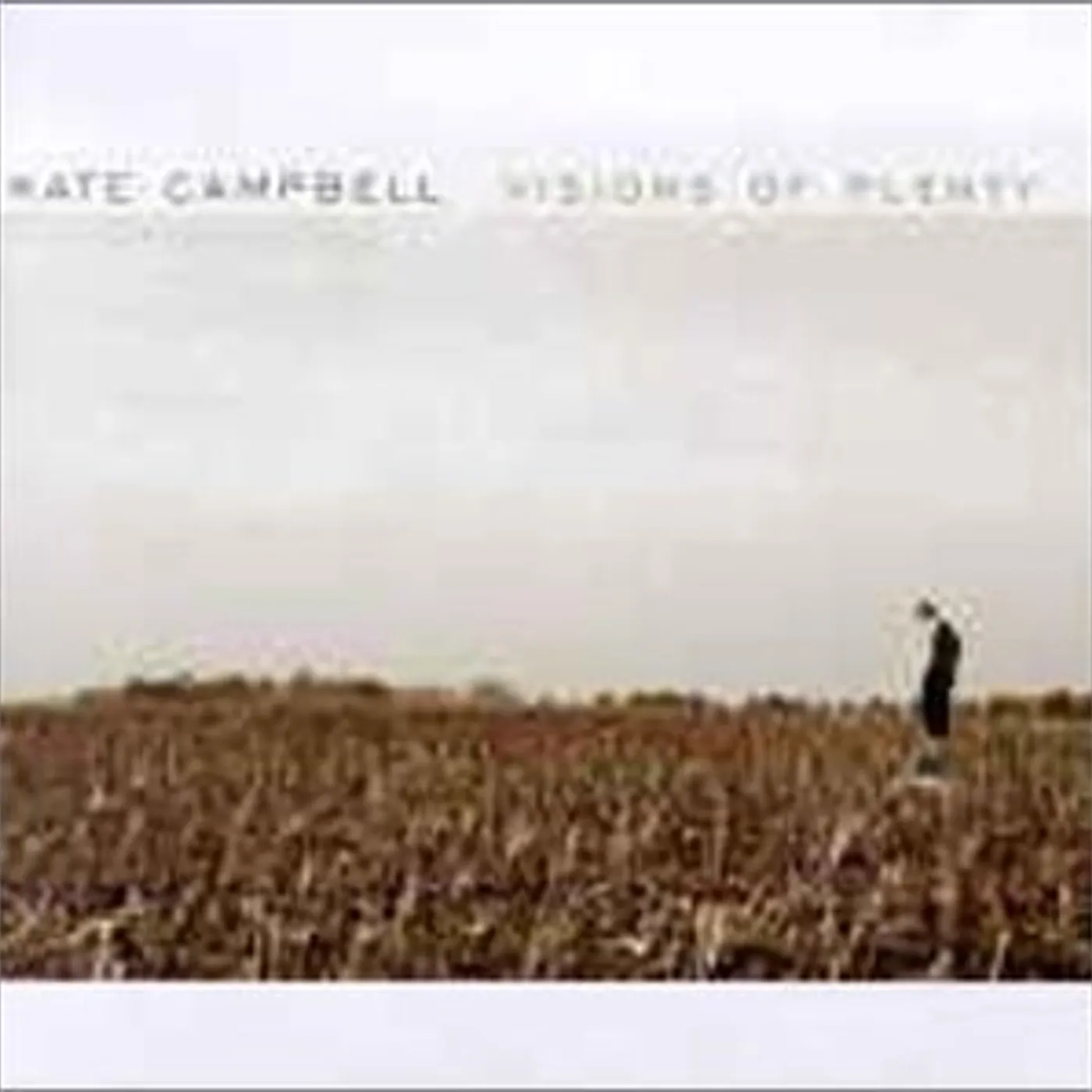 Kate Campbell VISIONS OF PLENTY CD