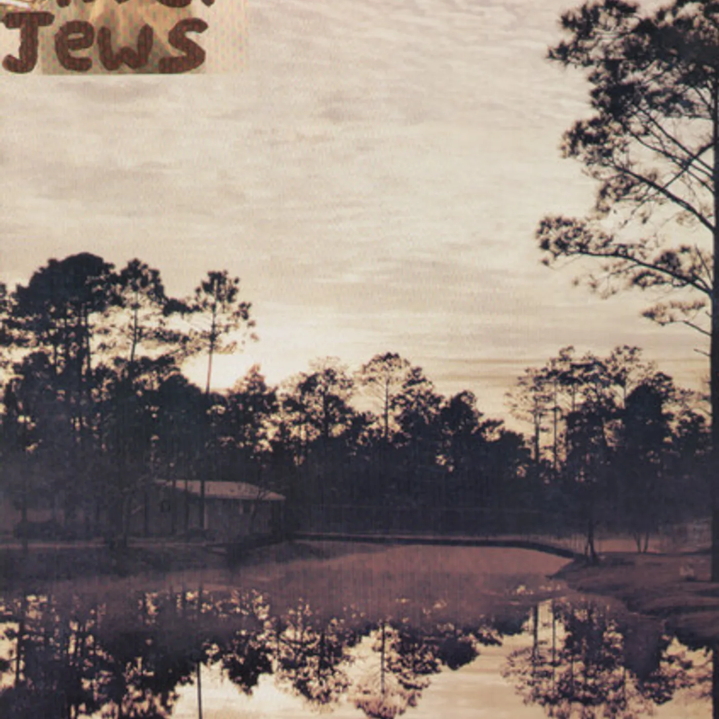 Silver Jews Starlite Walker Vinyl Record