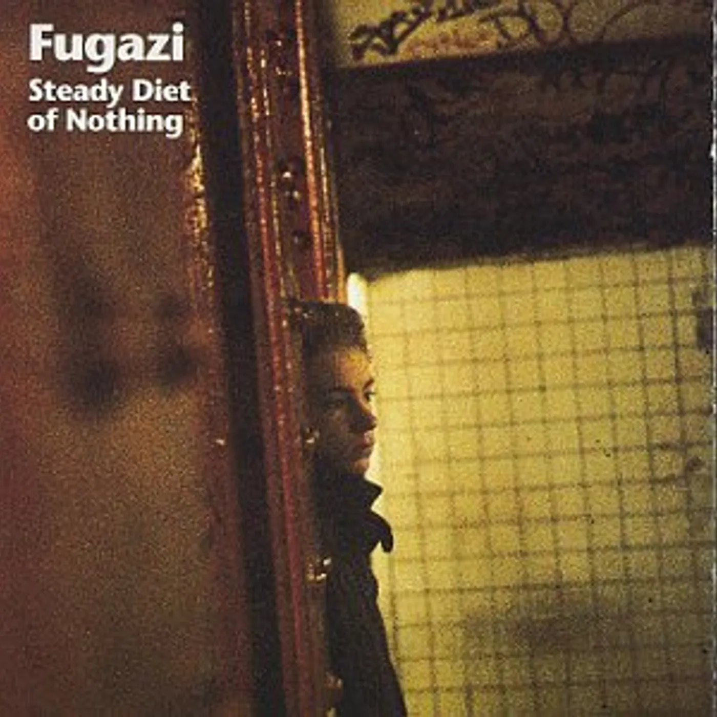 Fugazi Steady Diet of Nothing Vinyl Record
