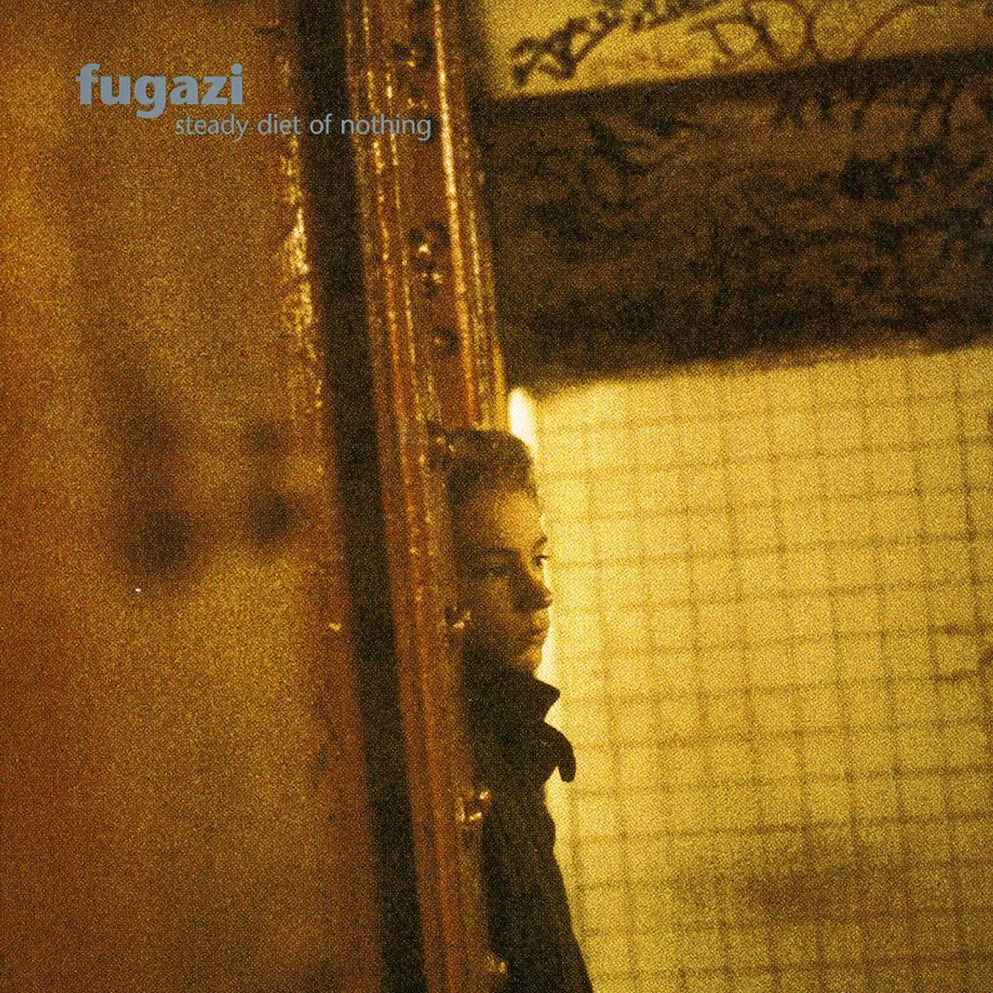 Fugazi STEADY DIET OF NOTHING CD