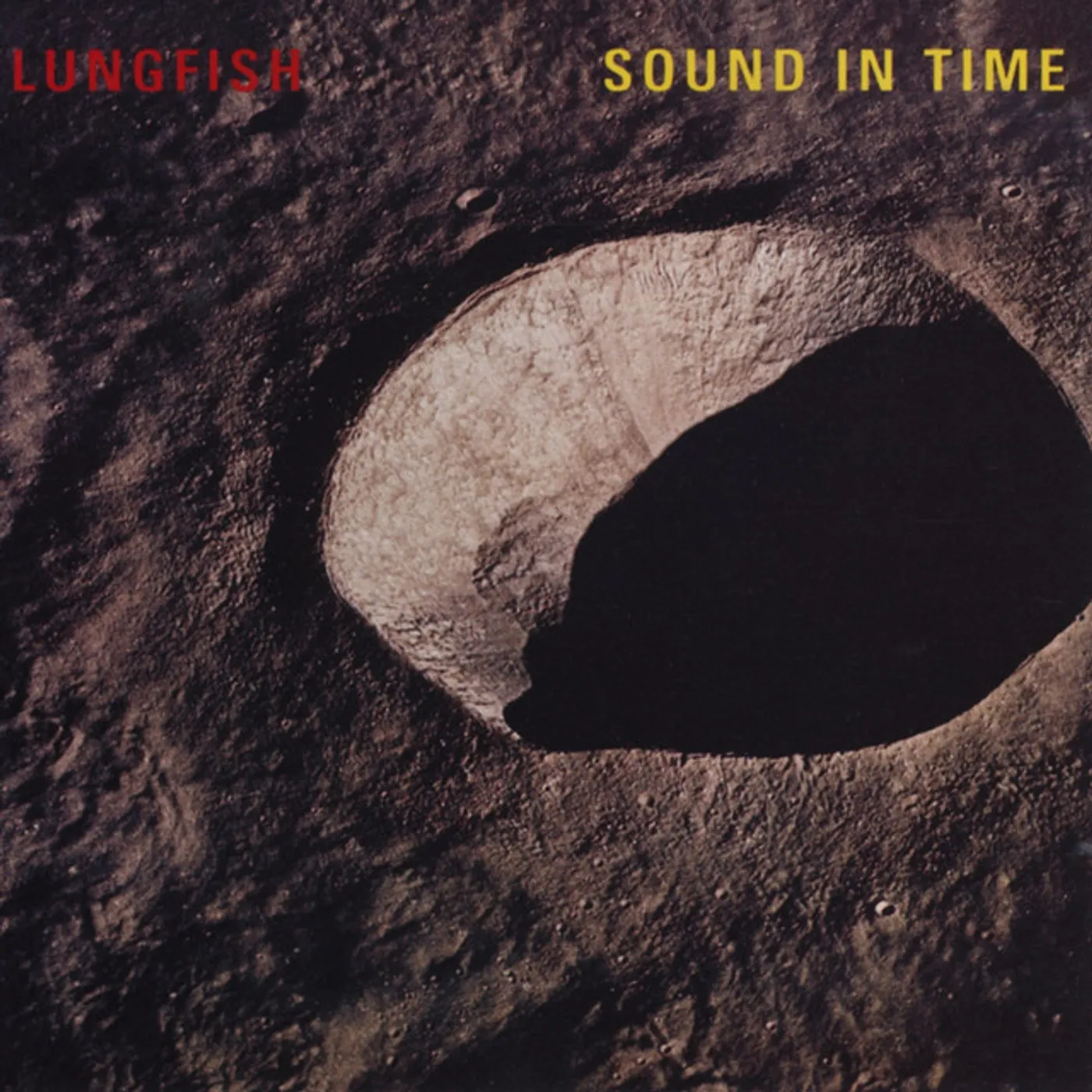 Lungfish SOUND IN TIME (DL CARD) Vinyl Record