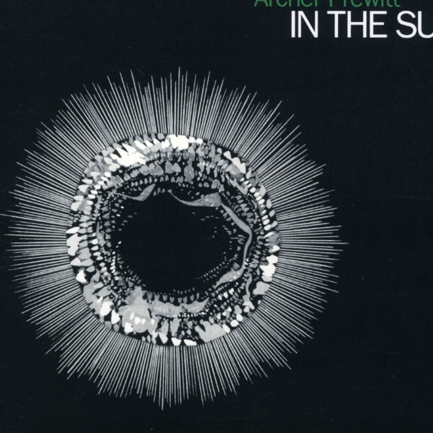 Archer Prewitt IN THE SUN CD