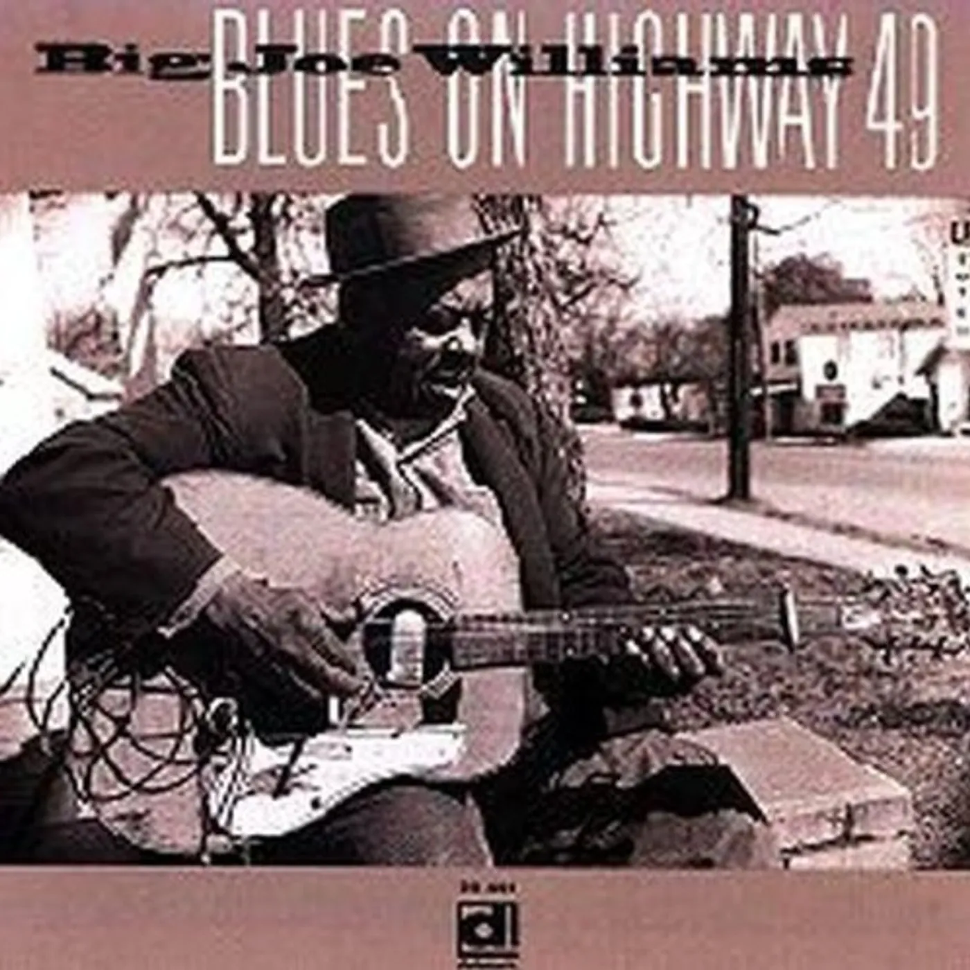 Big Joe Williams BLUES ON HIGHWAY 49 CD