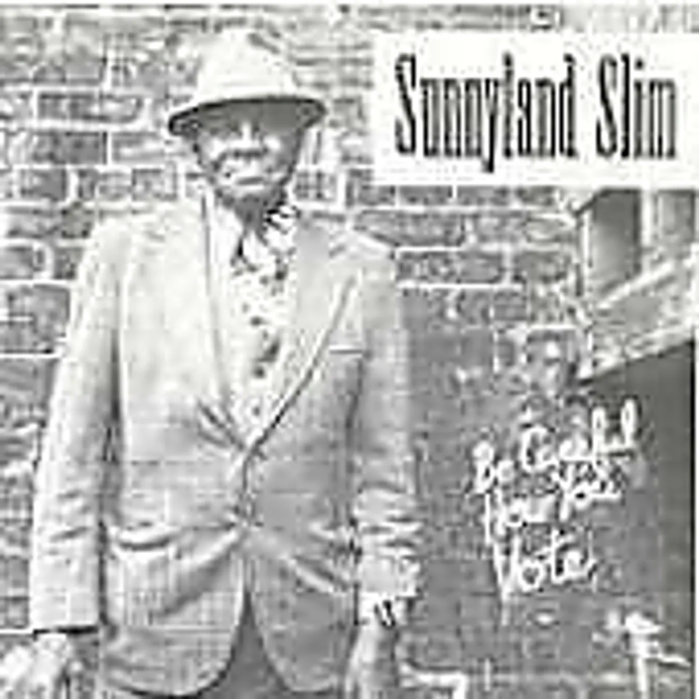 Sunnyland Slim BE CAREFUL HOW YOU VOTE CD