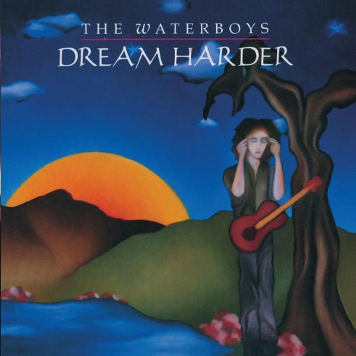 The Waterboys DREAM HARDER CD