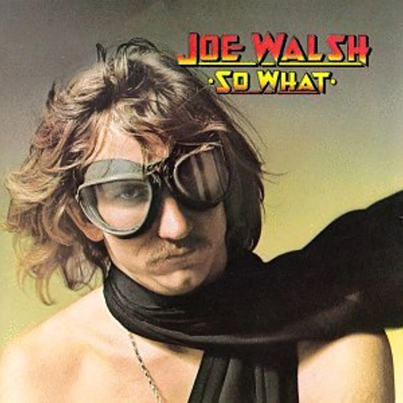 Joe Walsh SO WHAT CD