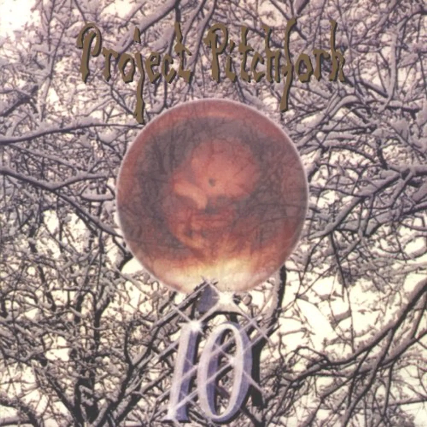 Project Pitchfork IO CD