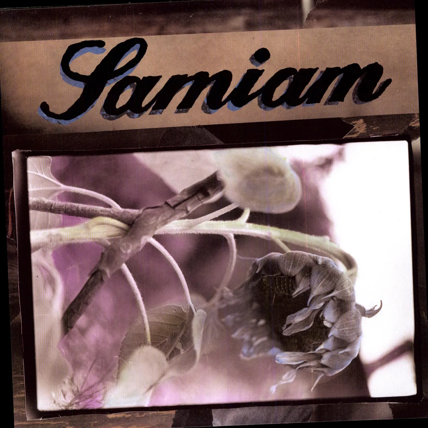 Samiam Vinyl Record