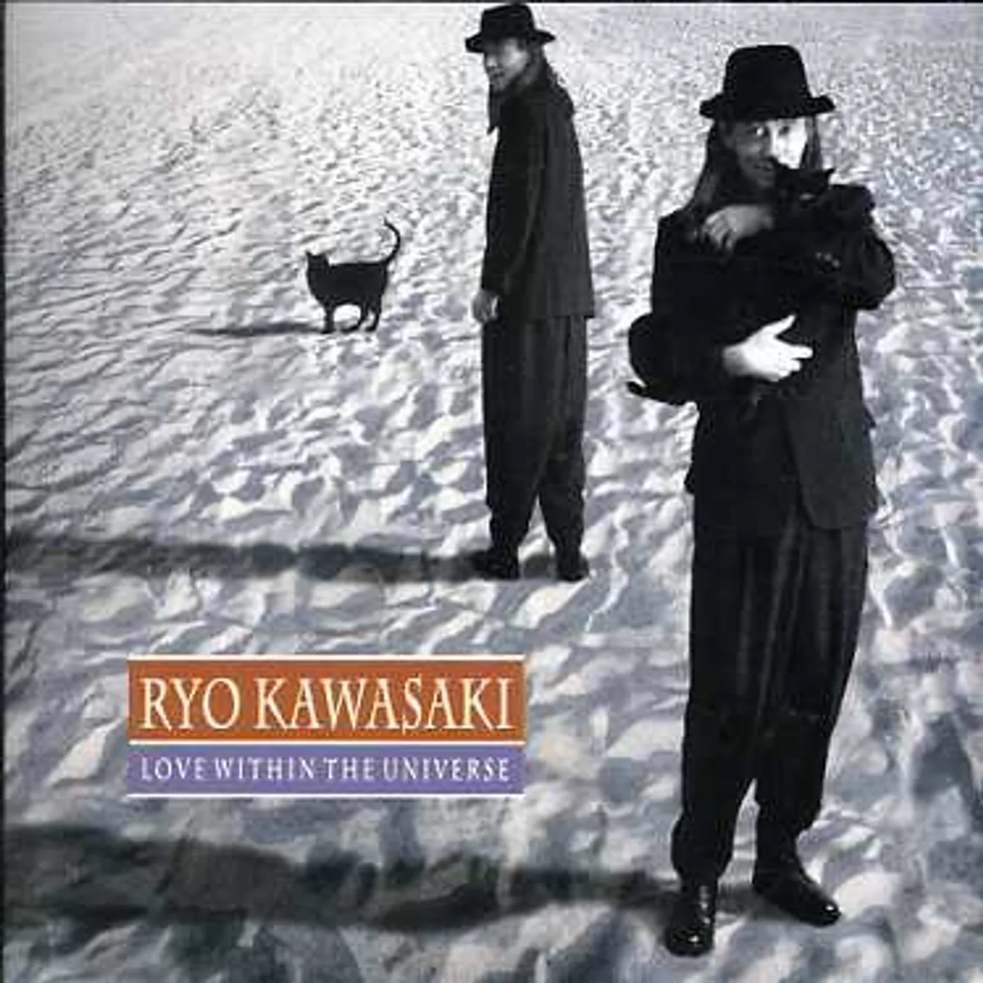 Ryo Kawasaki LOVE WITHIN THE UNIVERSE CD