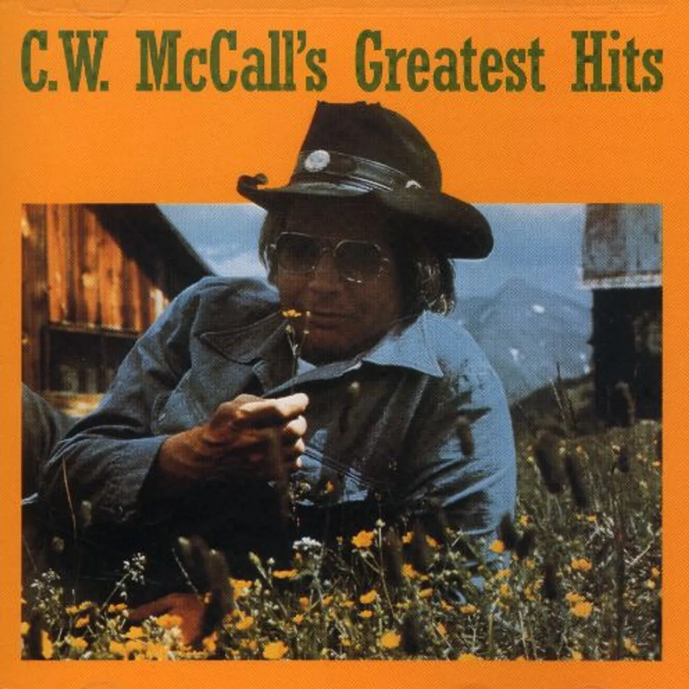 C.W. McCall GREATEST HITS CD