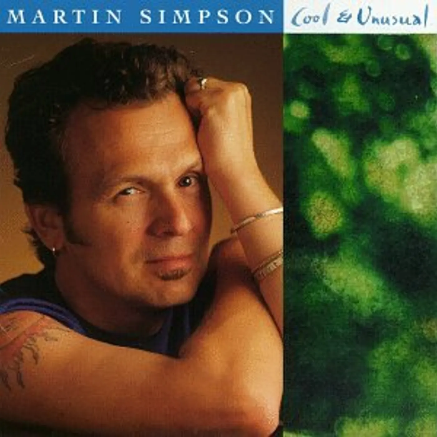Martin Simpson COOL & UNUSUAL CD