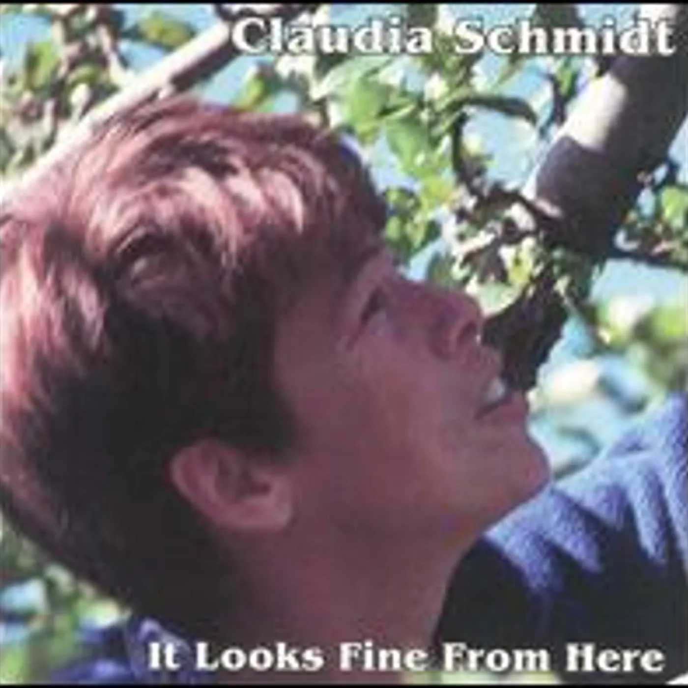 Claudia Schmidt IT LOOKS FINE FROM HERE CD