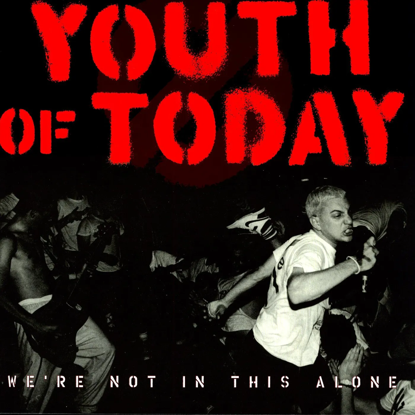 Youth Of Today We're Not In This Alone Vinyl Record