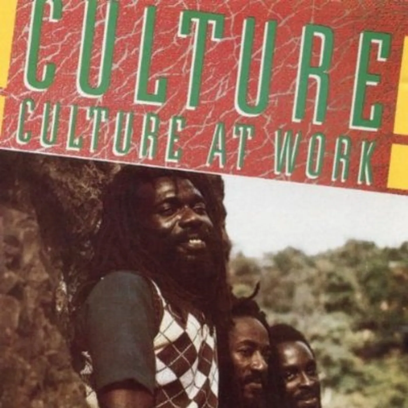 CULTURE AT WORK CD