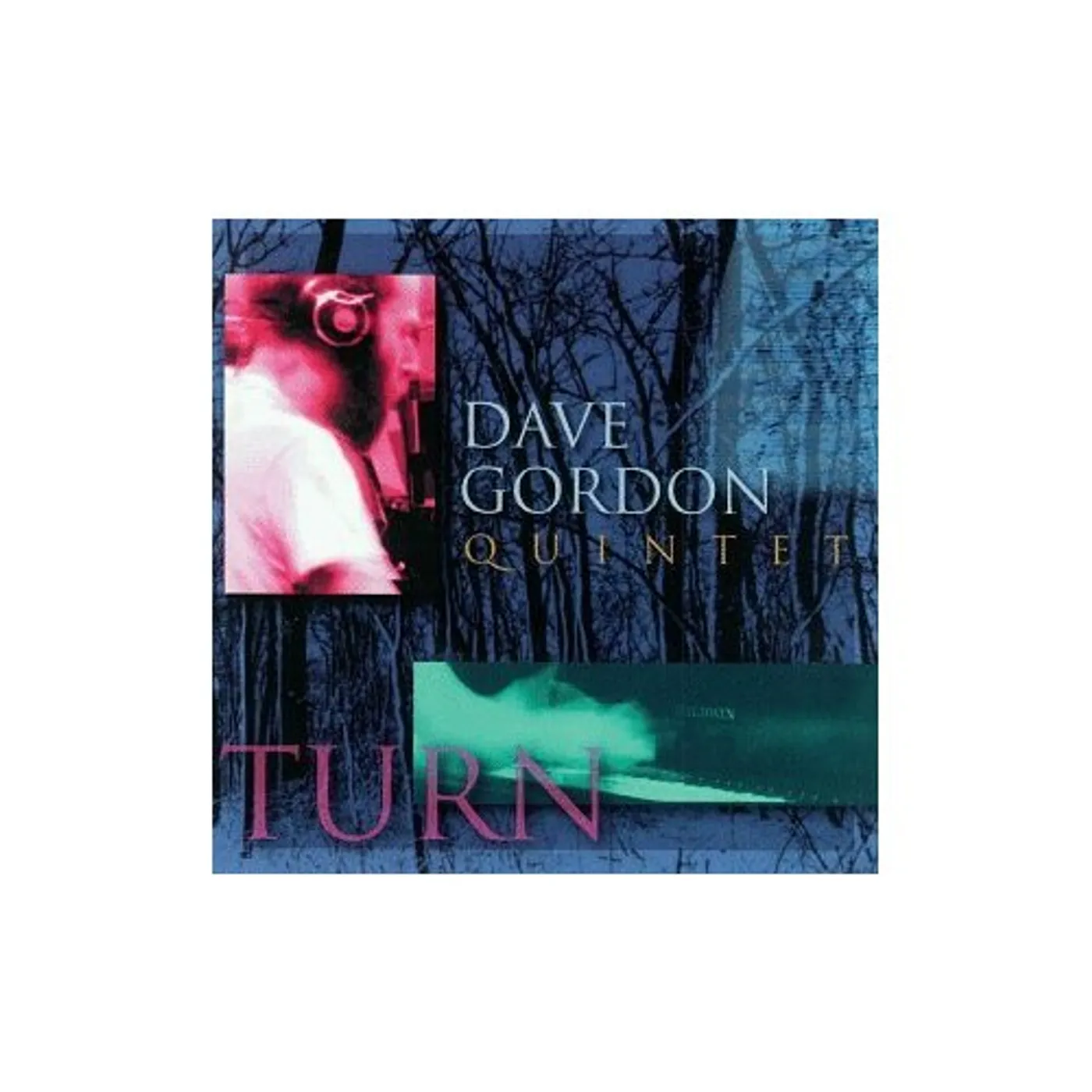 Dave Gordon TURN CD