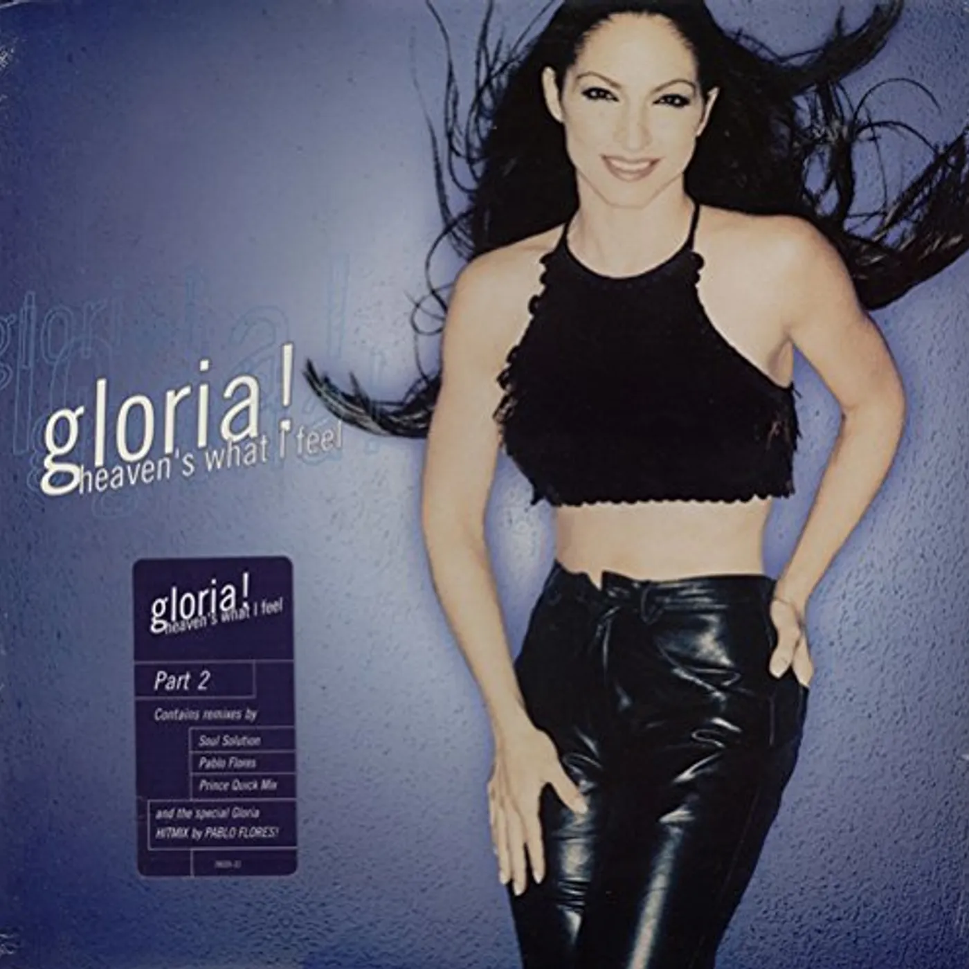 Gloria Estefan HEAVEN'S WHAT I FEEL (X4) Vinyl Record