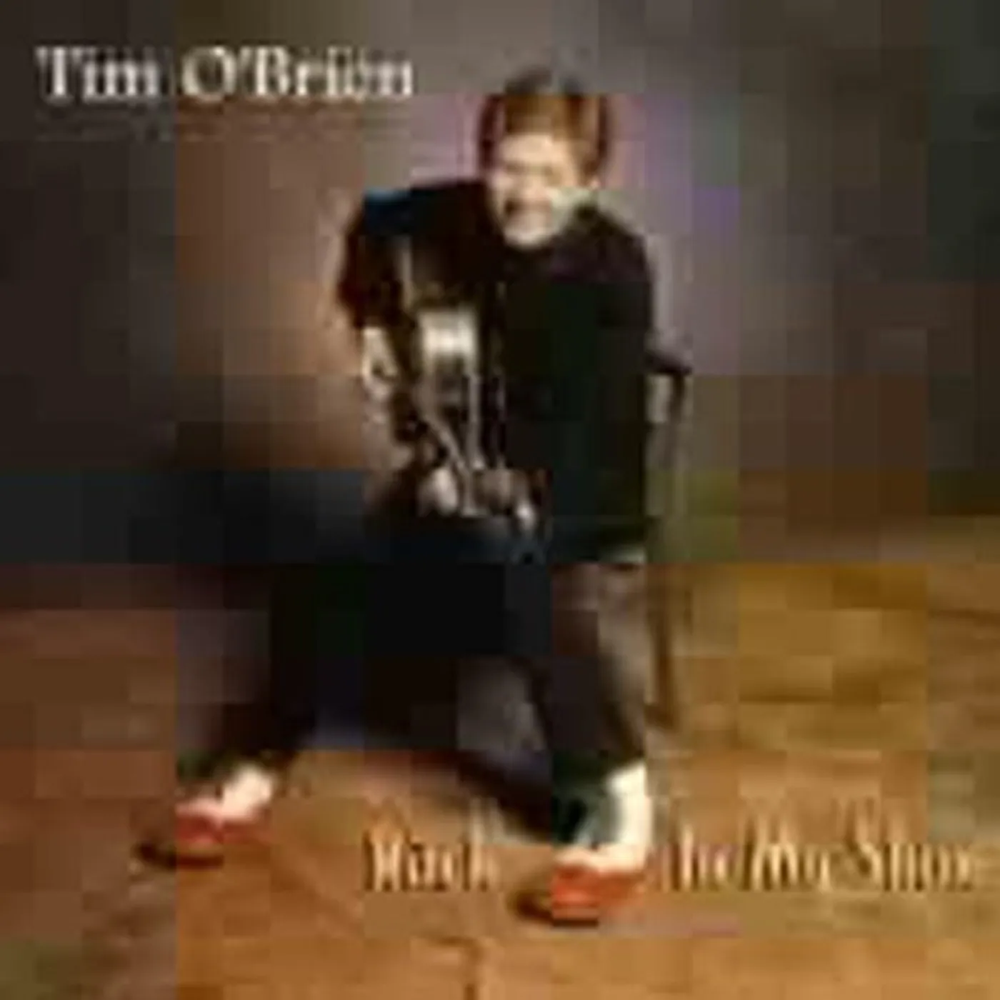 Tim O'Brien ROCK IN MY SHOE CD