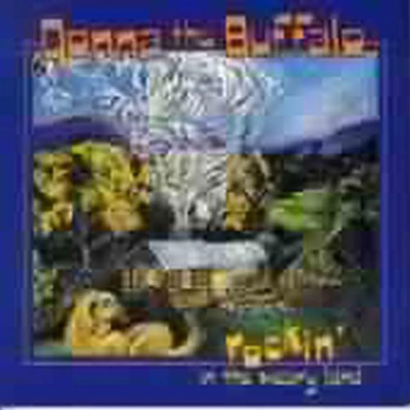 Donna The Buffalo ROCKIN IN WEARY LAND CD