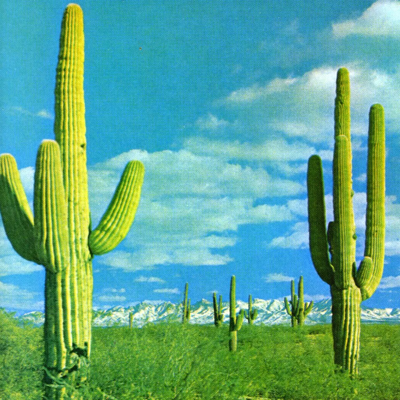 Rocket From The Crypt STATE OF THE ART IS ON FIRE / PLAYS MUSIC MACHINE CD