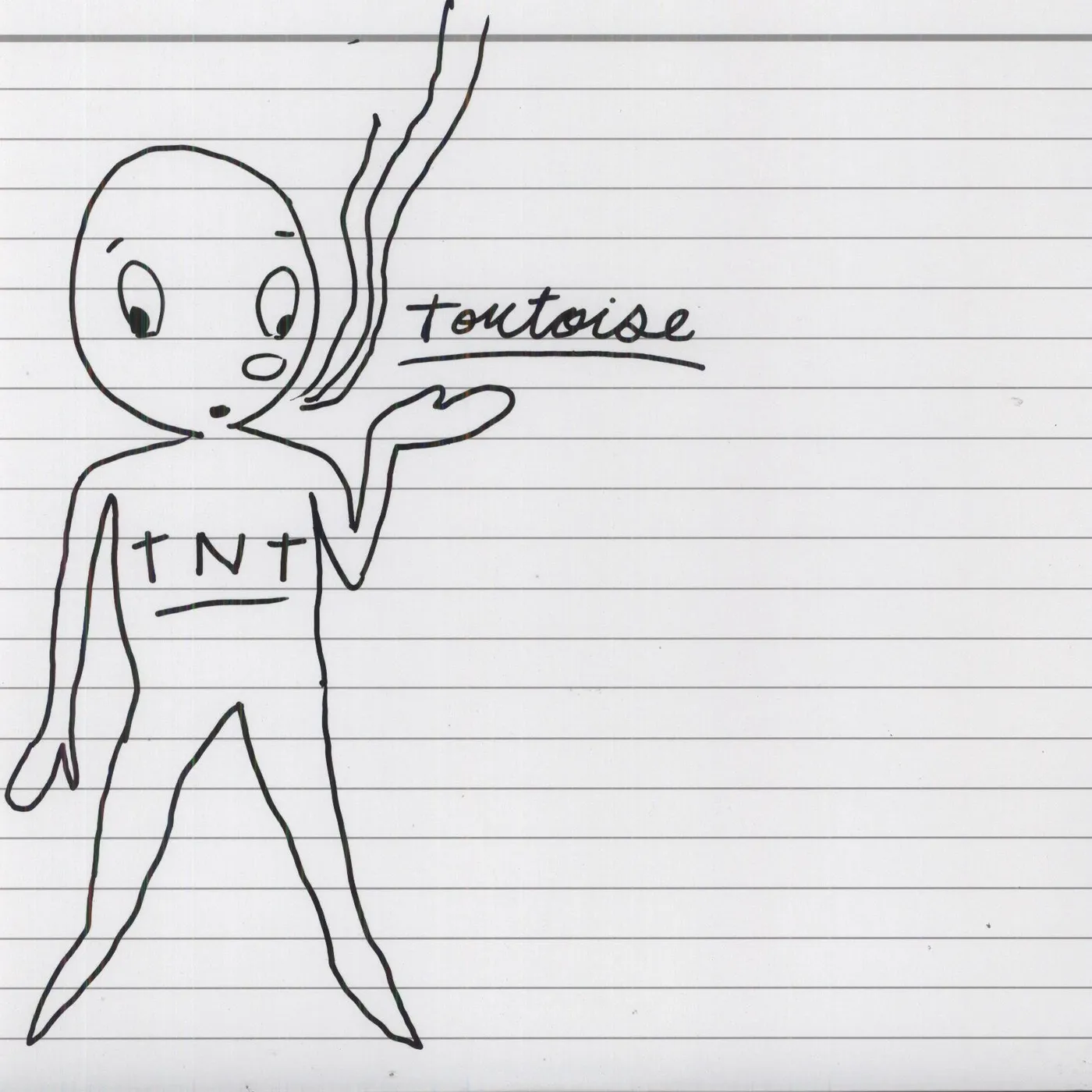 Tortoise TNT Vinyl Record