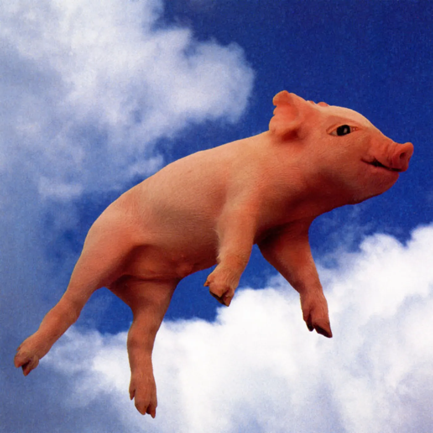 Didjits QUE SIRHAN SIRHAN CD