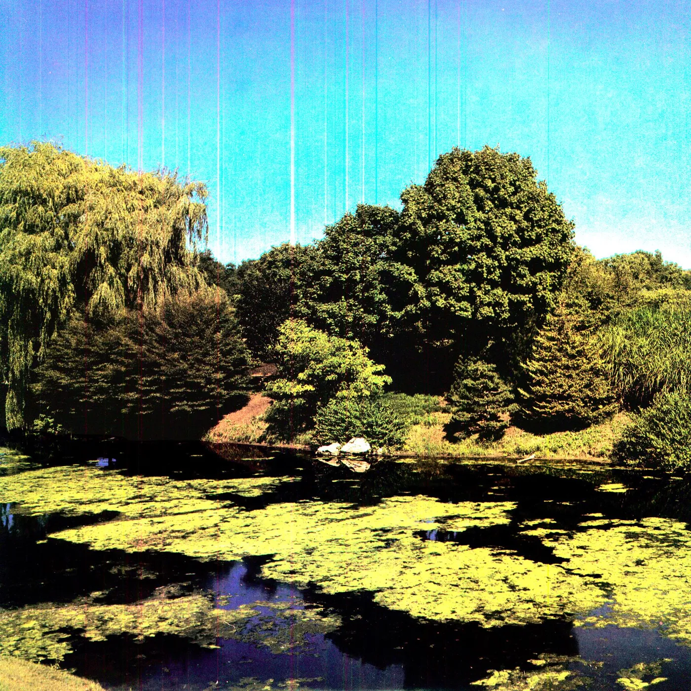 Shellac Terraform Vinyl Record