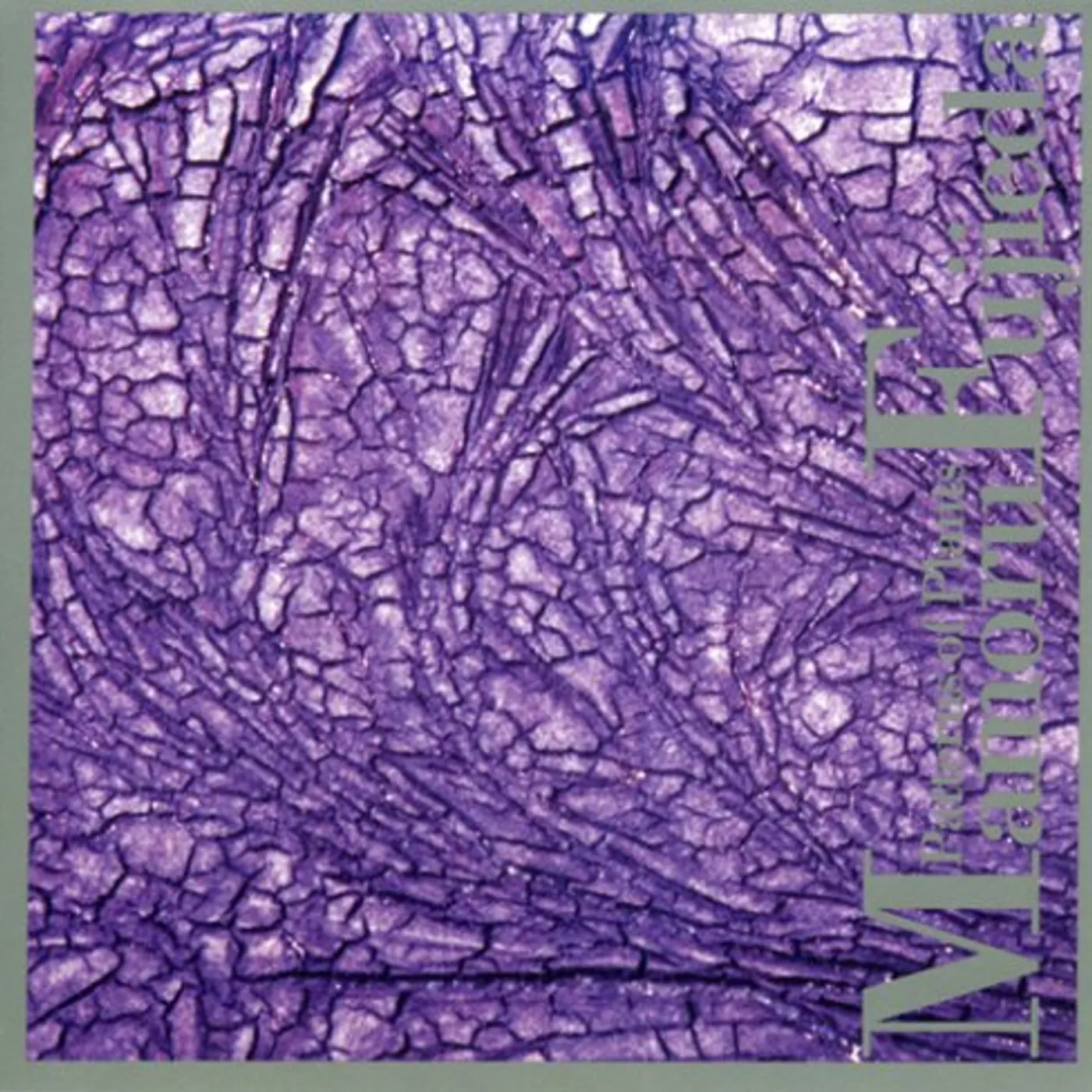 Mamoru Fujieda PATTERNS OF PLANTS CD