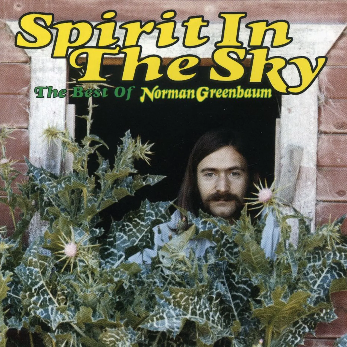 Norman Greenbaum SPIRIT IN THE SKY: BEST OF CD