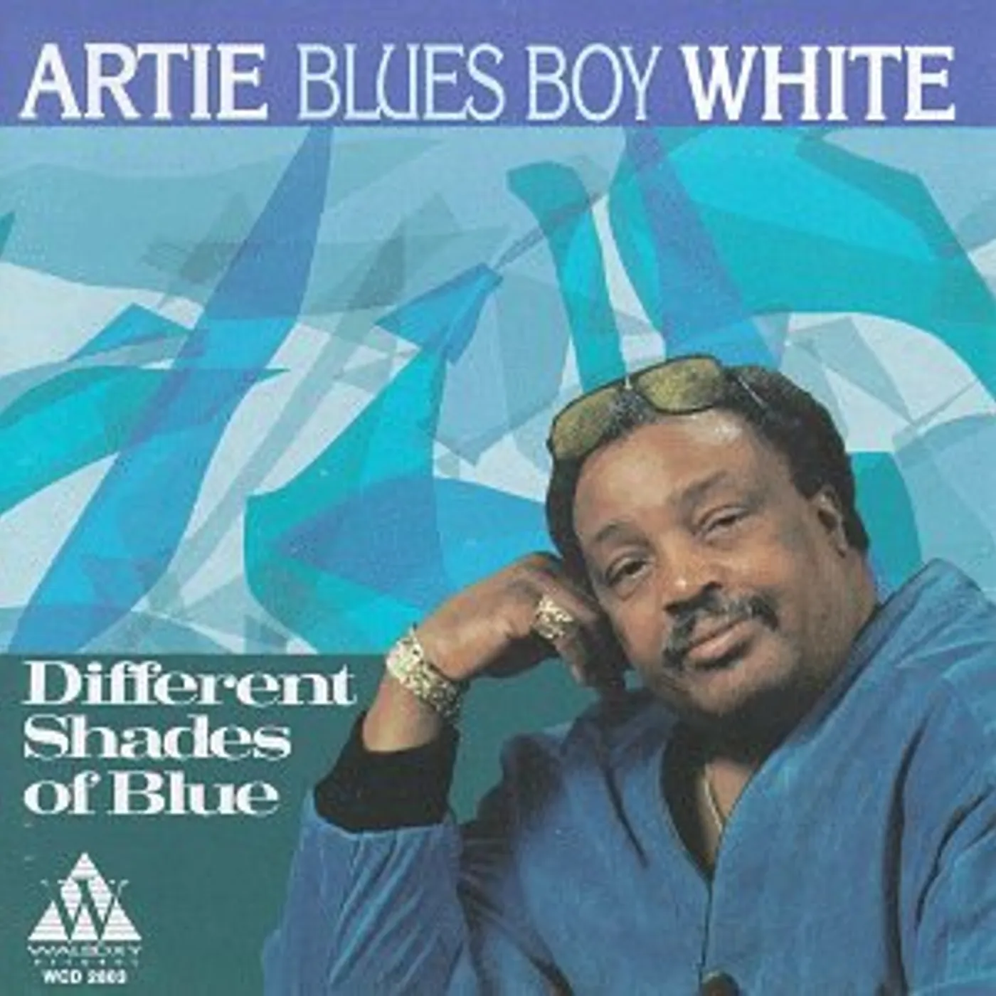 Artie White DIFFERENT SHADE CD