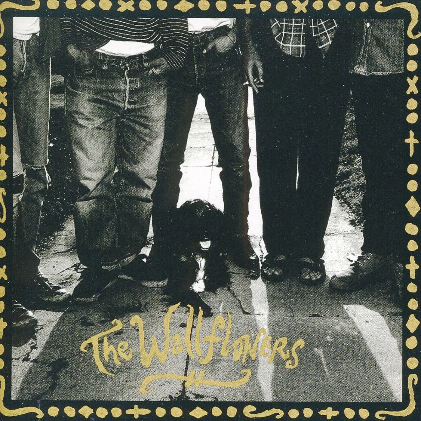 The Wallflowers CD