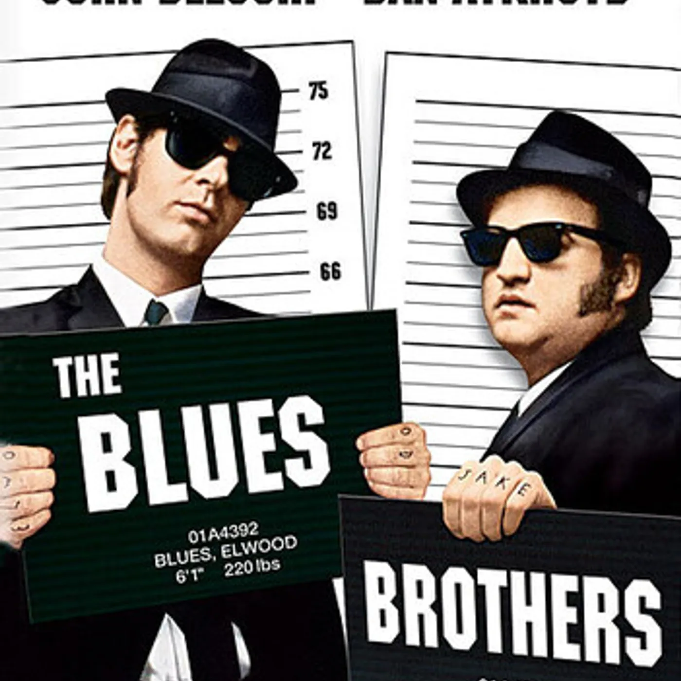 Blues & Brothers DVD