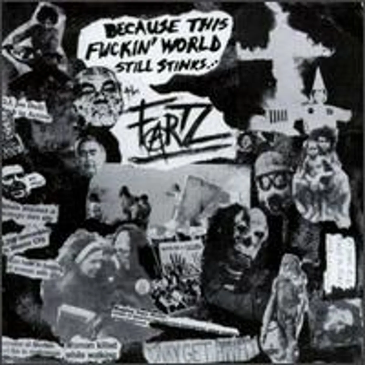 The Fartz BECAUSE THIS FUCKIN WORLD STILL STINKS Vinyl Record