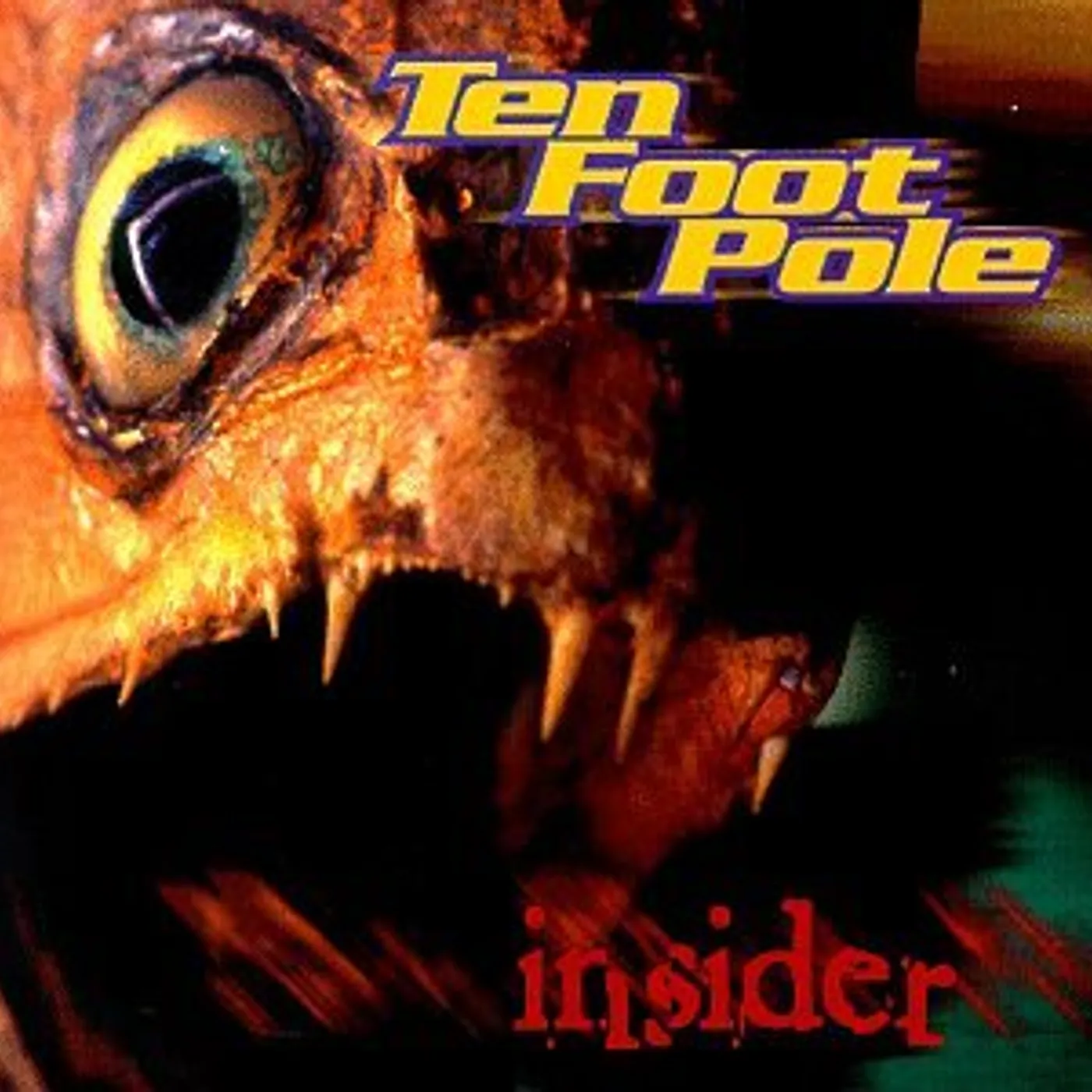 Ten Foot Pole Insider Vinyl Record